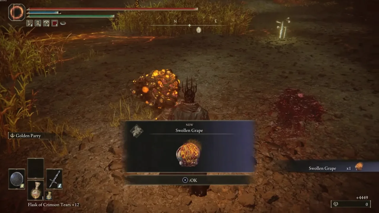 Obtained Grape Reward After Defeating Untouchable in Elden Ring Shadow of the Erdtree